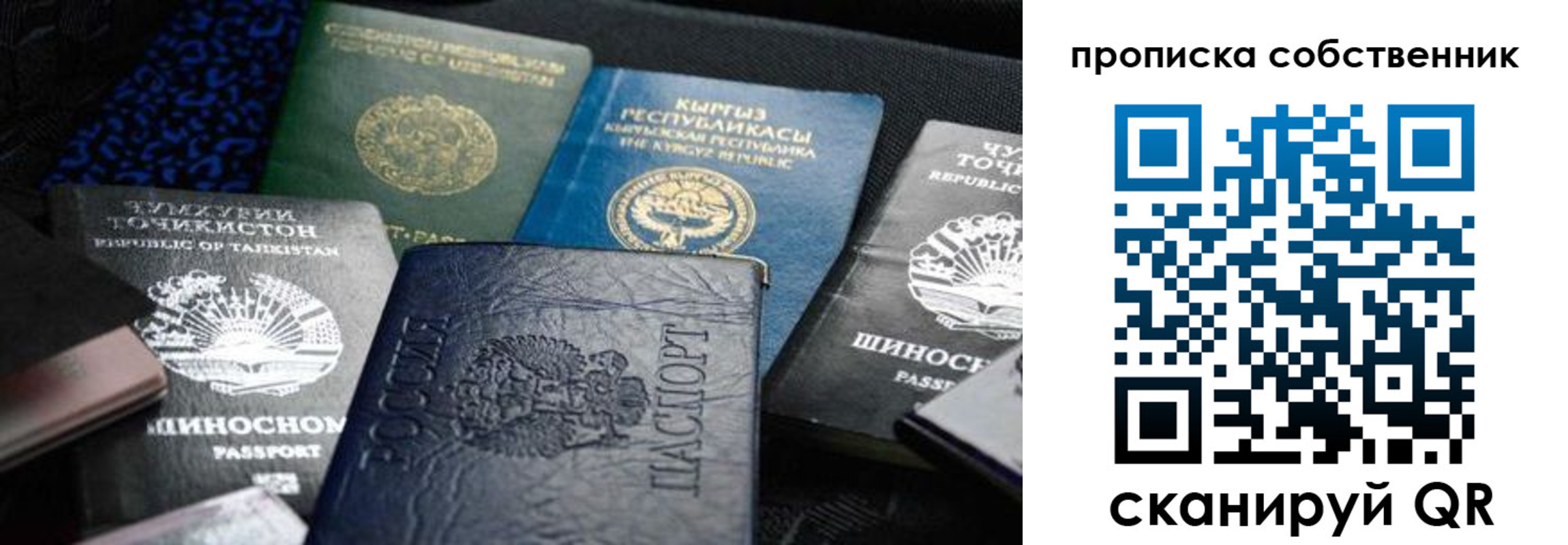 прописка 2025 в Домодедово